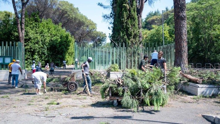 I volontari insieme agli operatori dellAMA hanno anche provveduto alla potatura degli alberi