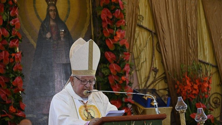 Cardinal Dziwisz delivers his homily