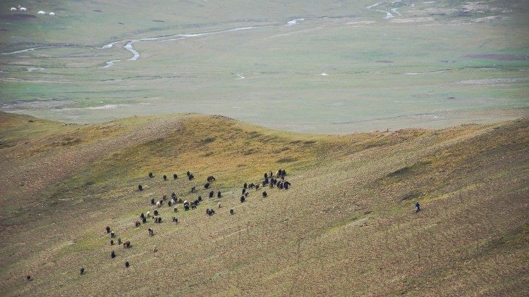 All'Angelus il Papa parla dell'imminente viaggio in Mongolia, una visita ad un popolo nobile, saggio e con una grande tradizione religiosa
