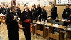 Parolin-con-Shevchuk.jpg