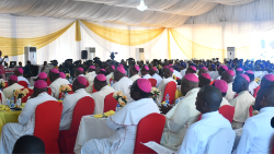 CBCN-plenary-5.png