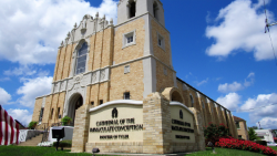 Cathedral-Immaculate-Conception-Tyler-Texas.png