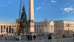 albero-Image-2023-11-23-at-08.45.10-1.jpg